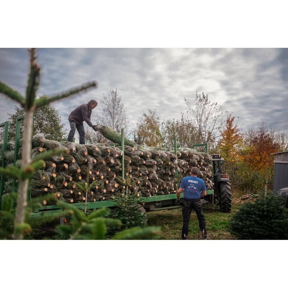 Colorado & Light kunstigt juletræ